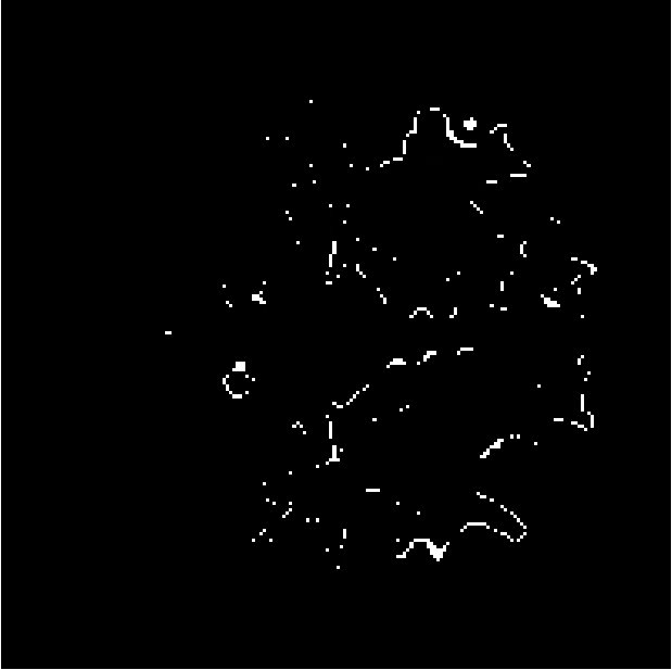 Figure 22